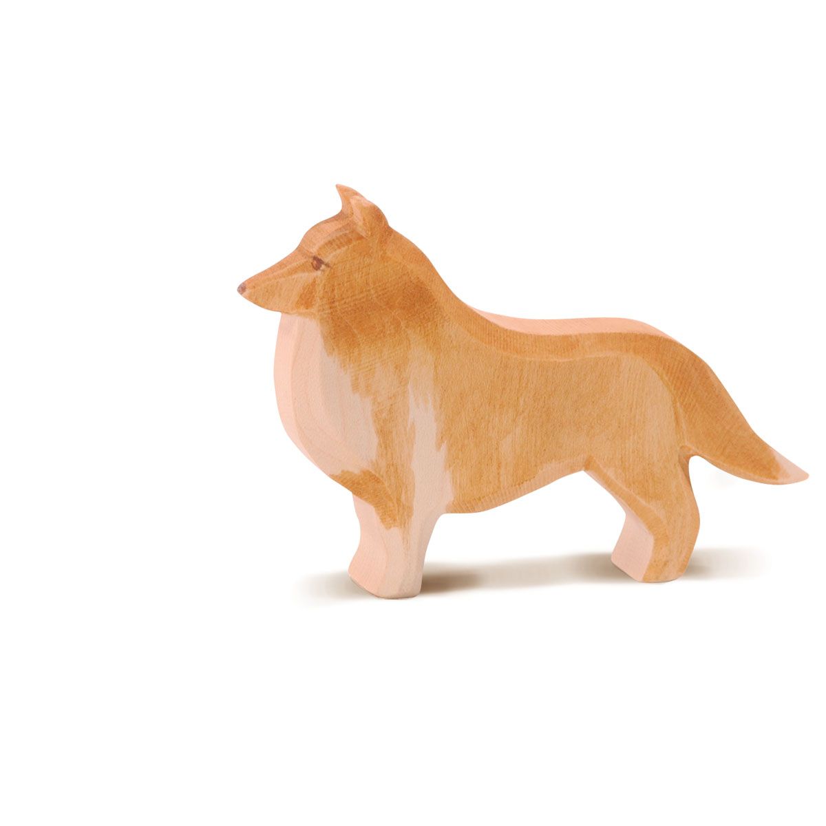 Ostheimer - Dog - Collie