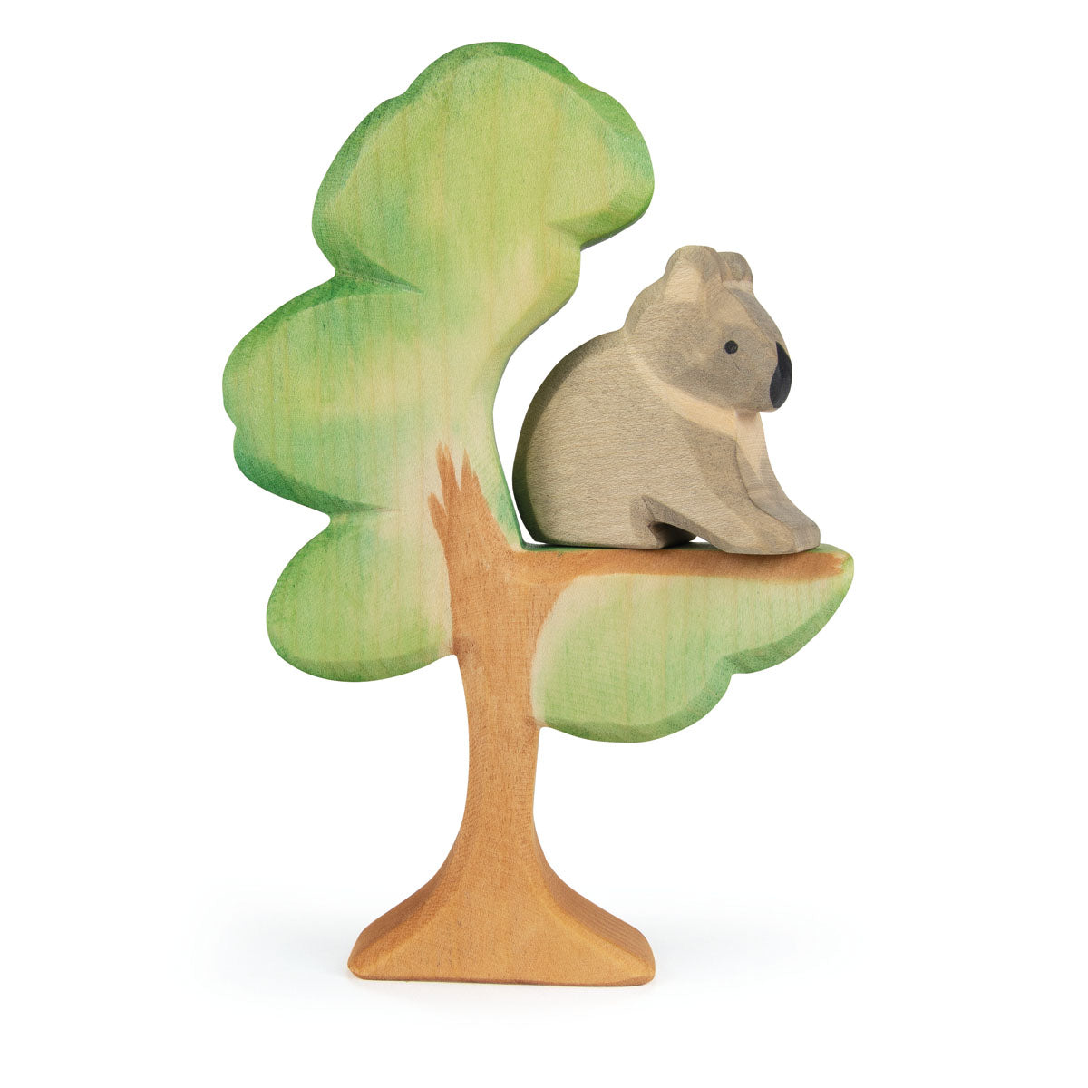 Ostheimer Koala Sitting on eucalyptus
