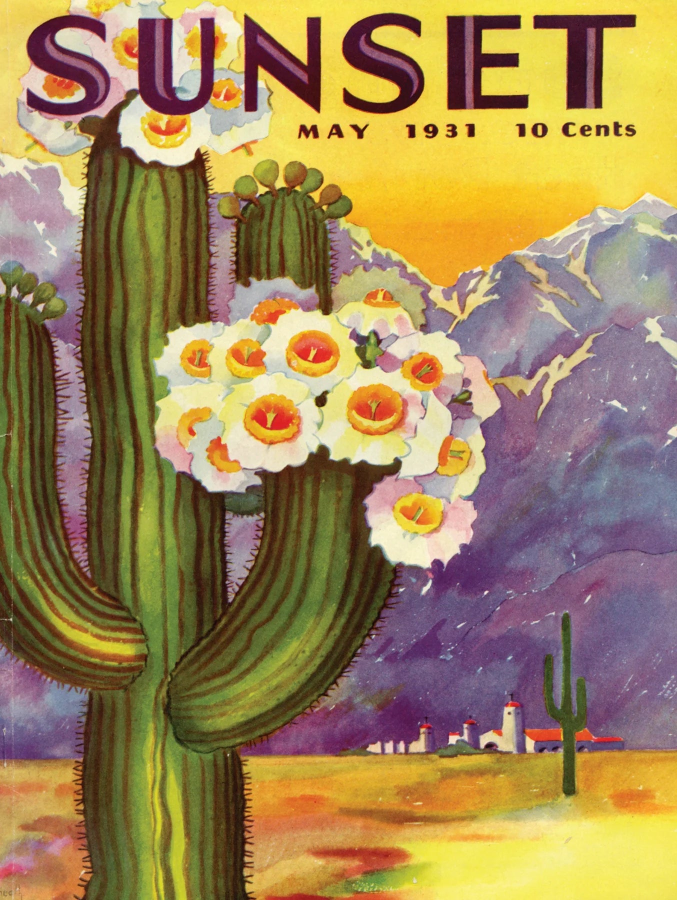 Cactus Blooms - 500 Piece Jigsaw Puzzle