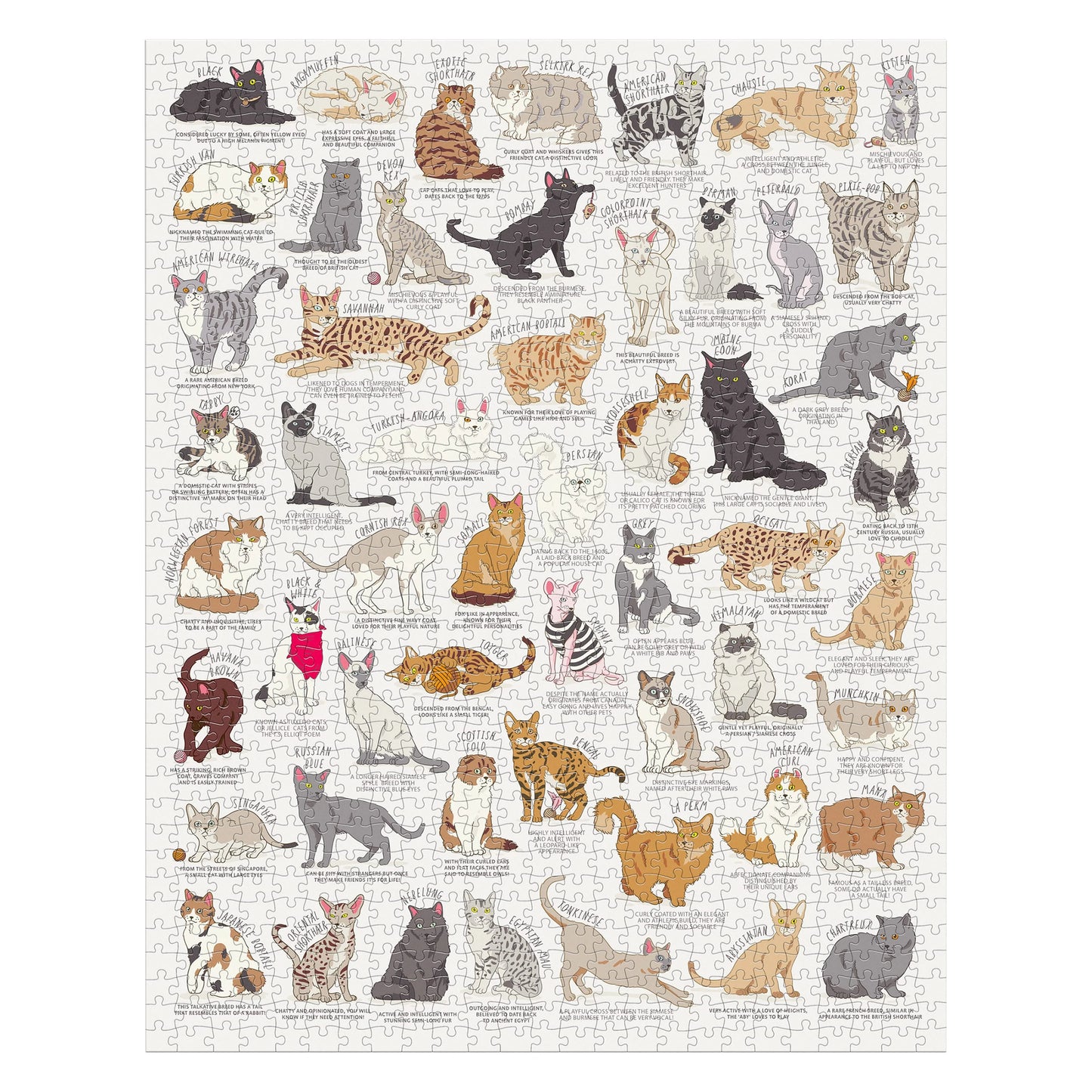 Ridley's Games - Cat Lover's - 1000 Piece Jigsaw Puzzle
