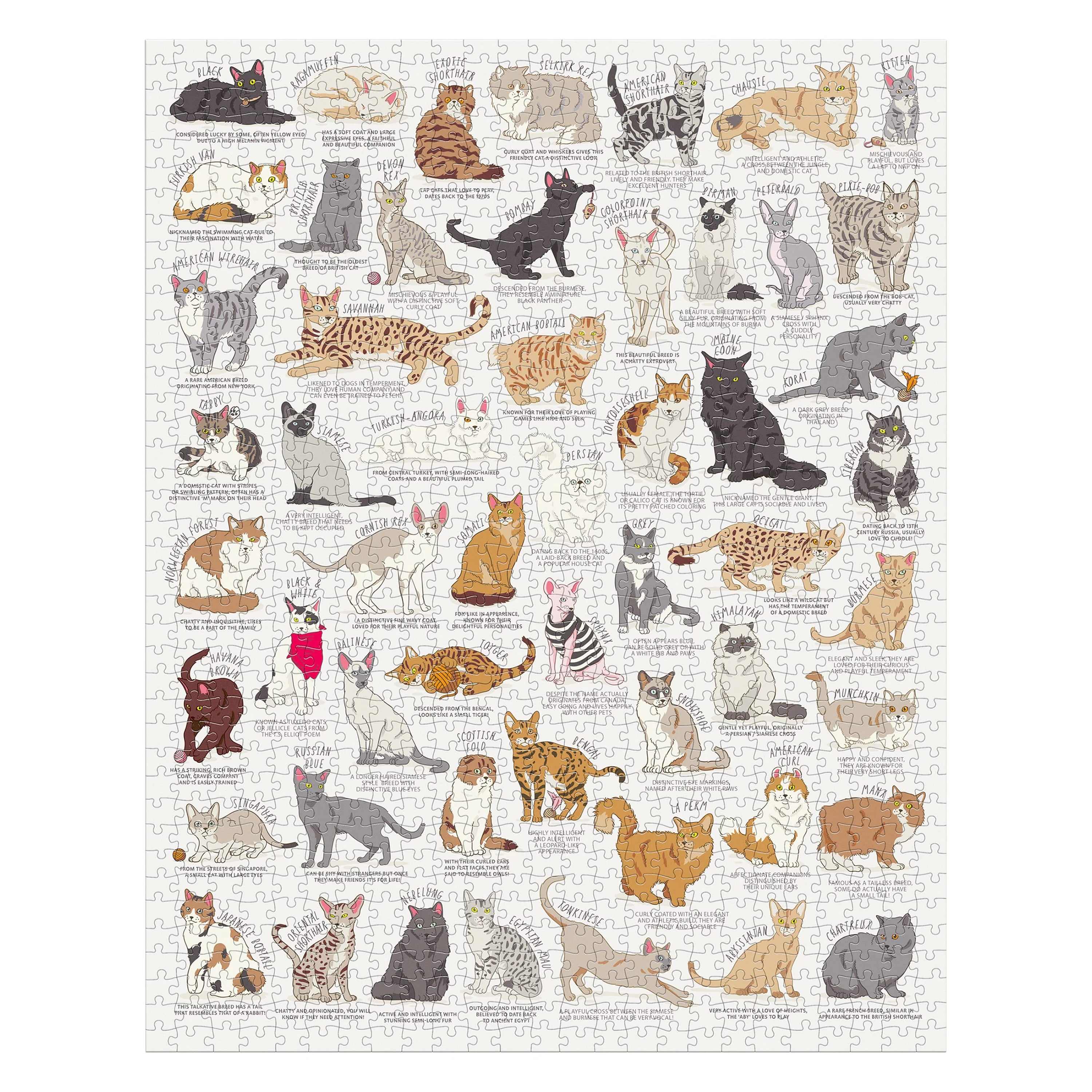 Ridley's Games - Cat Lover's - 1000 Piece Jigsaw Puzzle - Ridley's Games - littleyoyo.ca