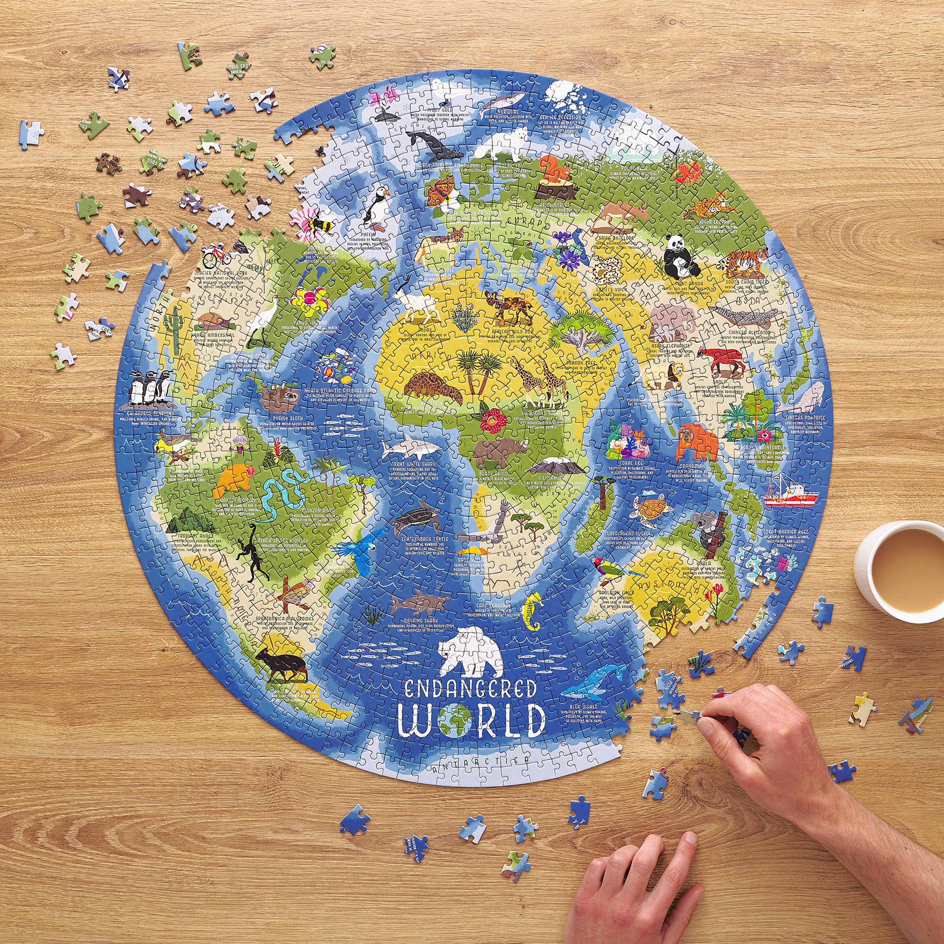 Ridley's Games - Endangered World - 1000 Piece Jigsaw Puzzle - Ridley's Games - littleyoyo.ca