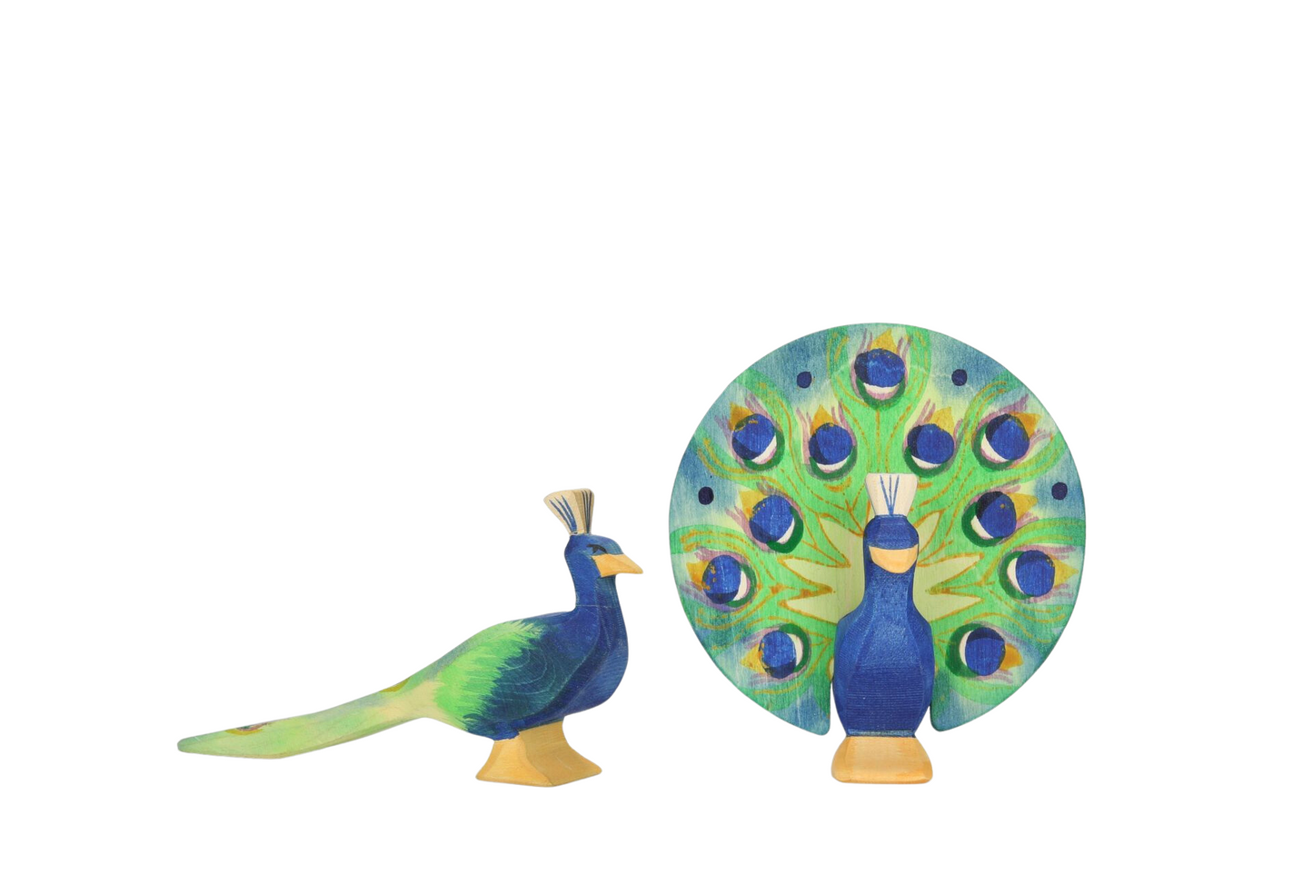 Ostheimer - Peacock