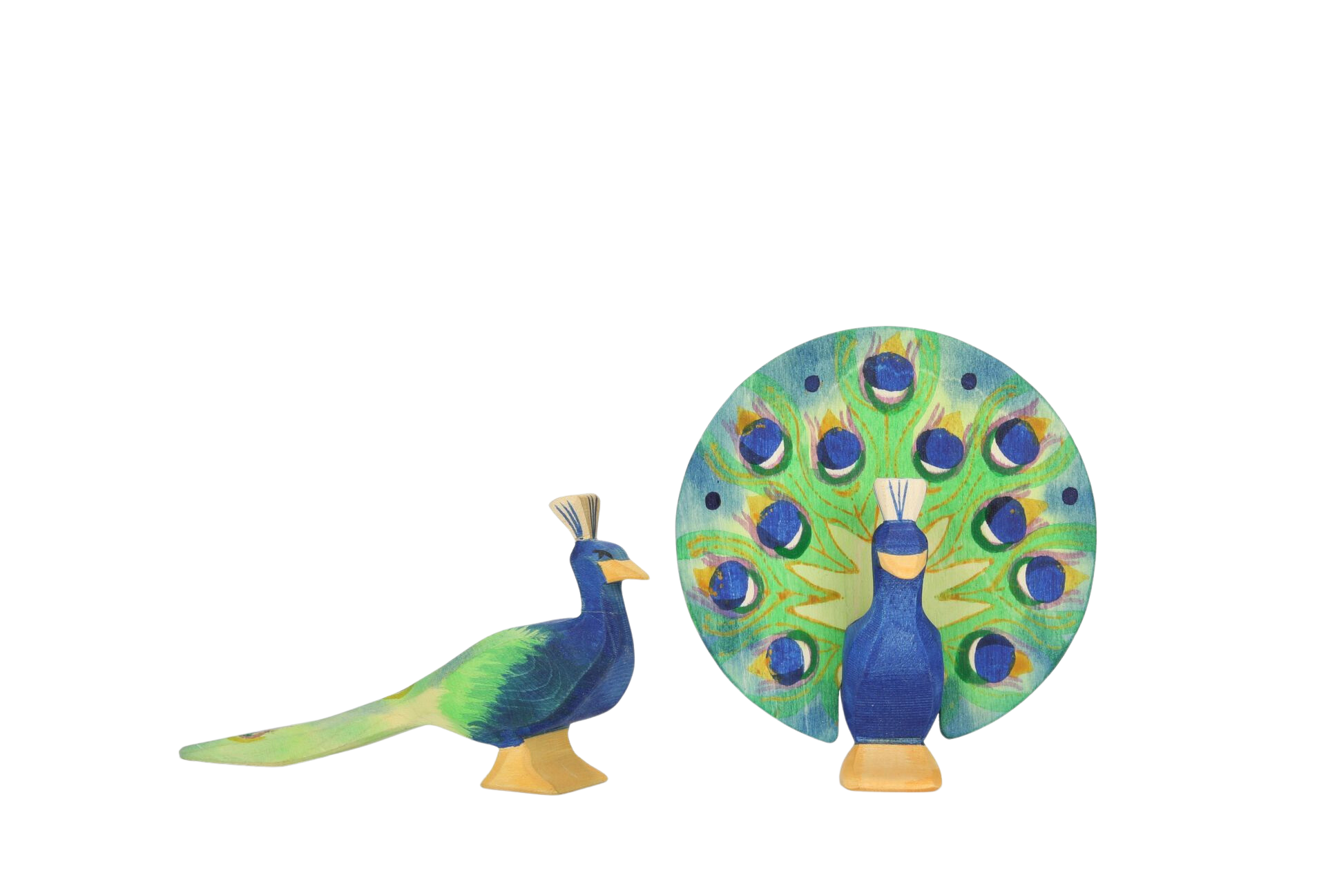 Ostheimer - Peacock - Ostheimer - littleyoyo.ca