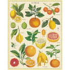 Citrus - 1000 Piece Vintage Puzzle - Cavallini & Co. - littleyoyo.ca