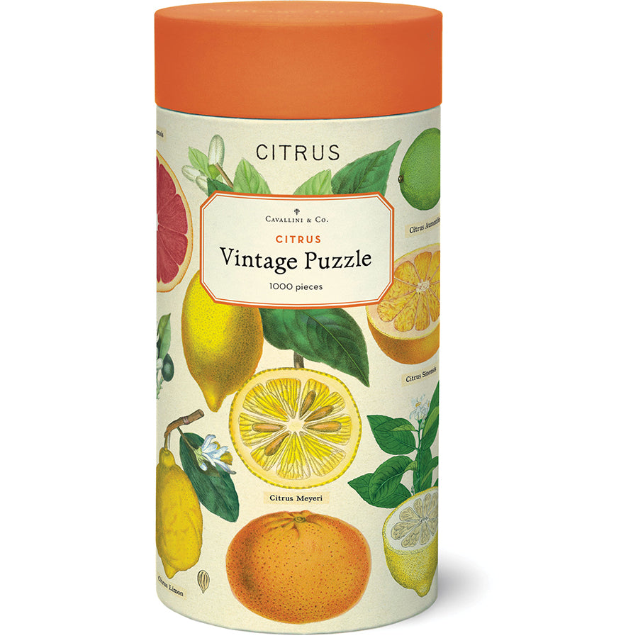 Citrus - 1000 Piece Vintage Puzzle - Cavallini & Co. - littleyoyo.ca