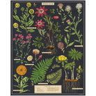 Herbarium - 1000 Piece Vintage Puzzle - Cavallini & Co. - littleyoyo.ca