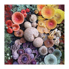 Shrooms in Bloom - 500pc Jigsaw Puzzle - Galison - littleyoyo.ca