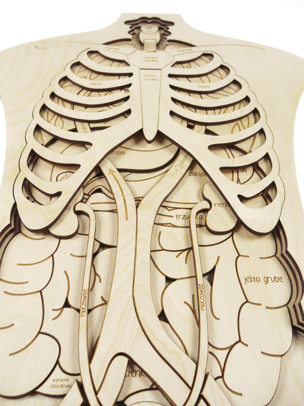 Stuka Puka - OMG! What's Inside Of Me! Wooden Puzzle - Stuka Puka - littleyoyo.ca