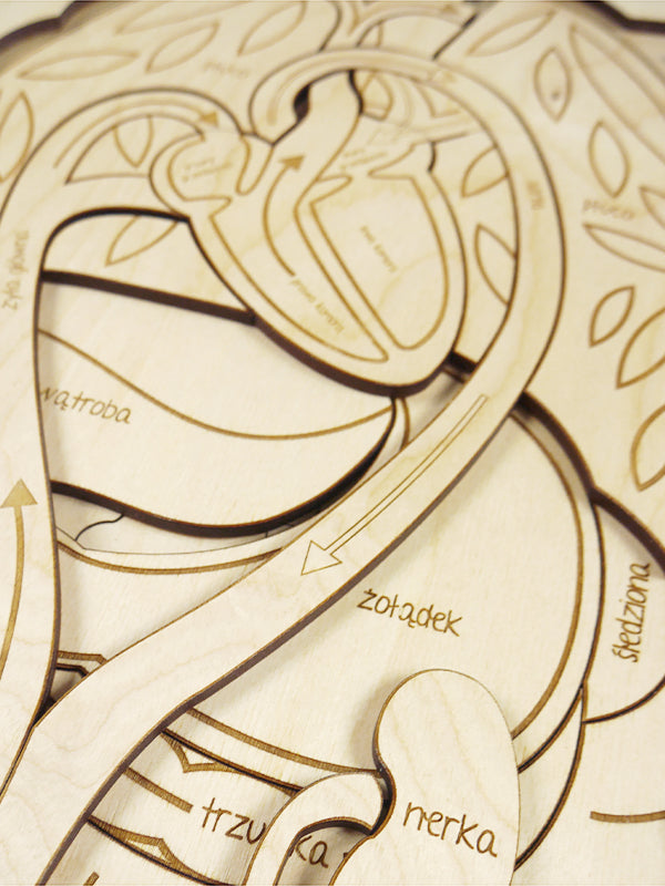 Stuka Puka - OMG! What's Inside Of Me! Wooden Puzzle - Stuka Puka - littleyoyo.ca