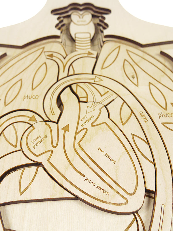 Stuka Puka - OMG! What's Inside Of Me! Wooden Puzzle - Stuka Puka - littleyoyo.ca