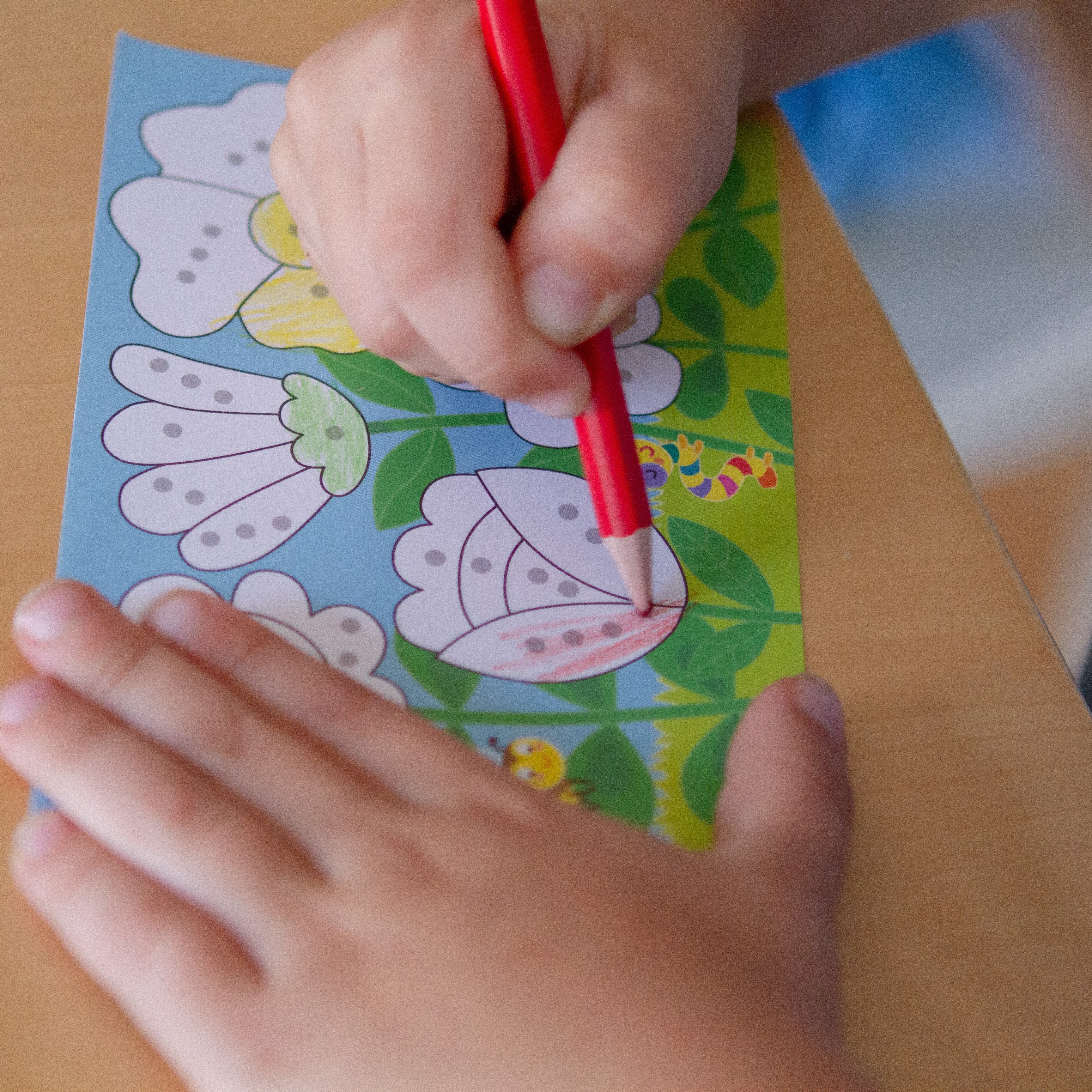 HABA - Color It - HABA - littleyoyo.ca