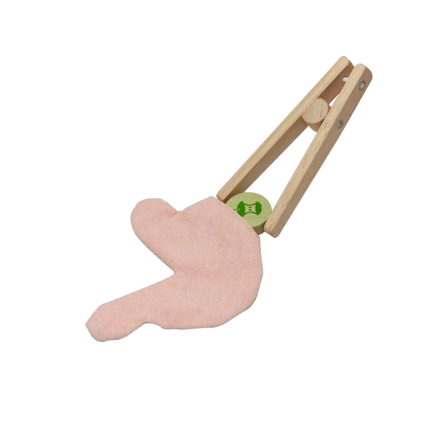 PlanToys - Surgeon Play Set - PlanToys - littleyoyo.ca