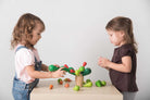 PlanToys - Balancing Cactus - PlanToys - littleyoyo.ca