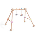 PlanToys - Play Gym - Pastel - PlanToys - littleyoyo.ca