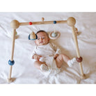PlanToys - Play Gym - Orchard - PlanToys - littleyoyo.ca
