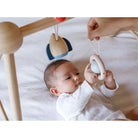 PlanToys - Play Gym - Orchard - PlanToys - littleyoyo.ca