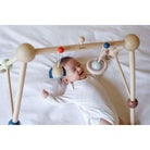 PlanToys - Play Gym - Orchard - PlanToys - littleyoyo.ca