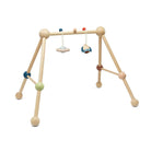PlanToys - Play Gym - Orchard - PlanToys - littleyoyo.ca