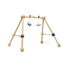 PlanToys - Play Gym - Orchard - PlanToys - littleyoyo.ca