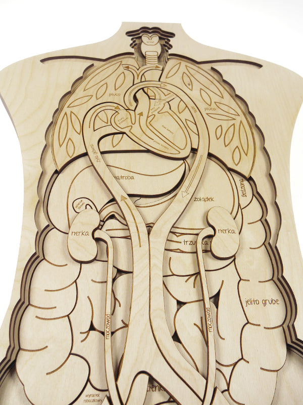 Stuka Puka - OMG! What's Inside Of Me! Wooden Puzzle - Stuka Puka - littleyoyo.ca