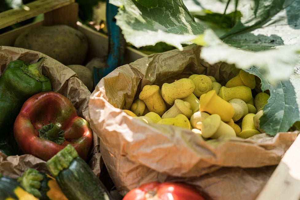 Grapat - Wood Mandala Tulip - Grapat - littleyoyo.ca