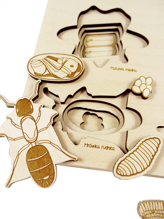 Stuka Puka - Bug's Life Wooden Puzzle - Stuka Puka - littleyoyo.ca