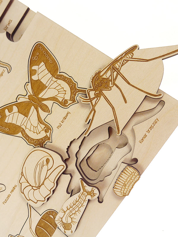 Stuka Puka - Bug's Life Wooden Puzzle - Stuka Puka - littleyoyo.ca