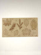 Stuka Puka - What Has Fallen From The Tree Wooden Puzzle - Stuka Puka - littleyoyo.ca