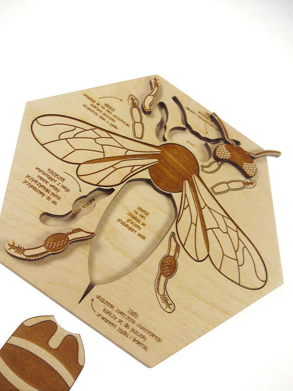 Stuka Puka - Busy Bee Wooden Puzzle - Stuka Puka - littleyoyo.ca