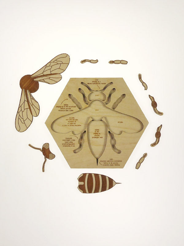 Stuka Puka - Busy Bee Wooden Puzzle - Stuka Puka - littleyoyo.ca
