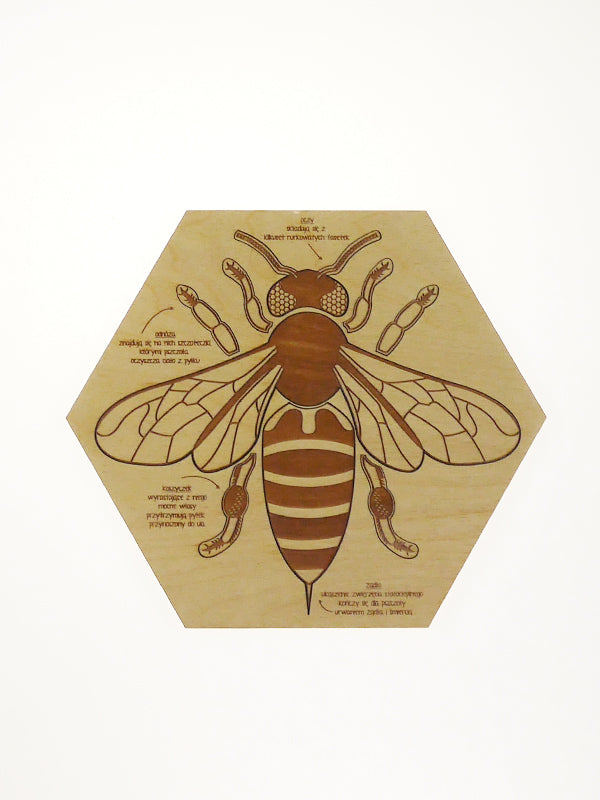 Stuka Puka - Busy Bee Wooden Puzzle - Stuka Puka - littleyoyo.ca