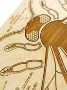 Stuka Puka - Busy Bee Wooden Puzzle - Stuka Puka - littleyoyo.ca