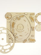 Stuka Puka - From Zero To Hero - Animal Cell Structure Wooden Puzzle - Stuka Puka - littleyoyo.ca