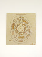 Stuka Puka - From Zero To Hero - Animal Cell Structure Wooden Puzzle - Stuka Puka - littleyoyo.ca