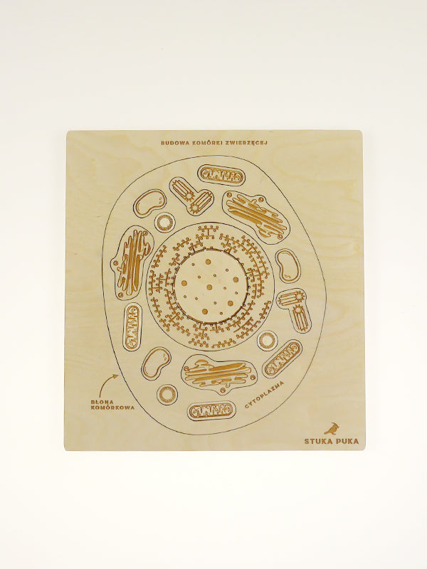 Stuka Puka - From Zero To Hero - Animal Cell Structure Wooden Puzzle - Stuka Puka - littleyoyo.ca