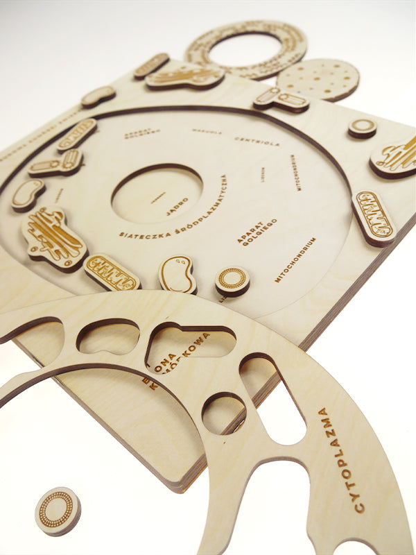 Stuka Puka - From Zero To Hero - Animal Cell Structure Wooden Puzzle - Stuka Puka - littleyoyo.ca