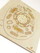 Stuka Puka - From Zero To Hero - Animal Cell Structure Wooden Puzzle - Stuka Puka - littleyoyo.ca