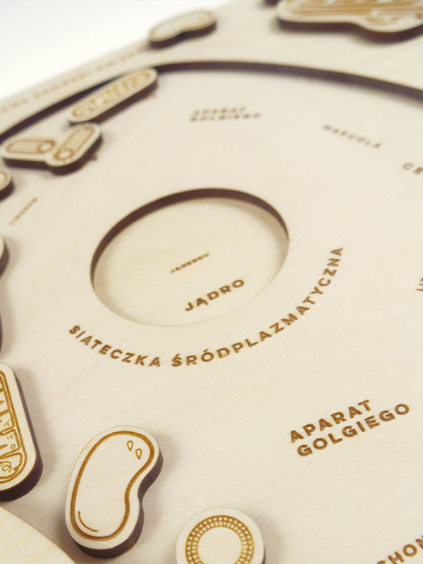 Stuka Puka - From Zero To Hero - Animal Cell Structure Wooden Puzzle - Stuka Puka - littleyoyo.ca