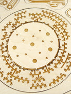 Stuka Puka - From Zero To Hero - Animal Cell Structure Wooden Puzzle - Stuka Puka - littleyoyo.ca