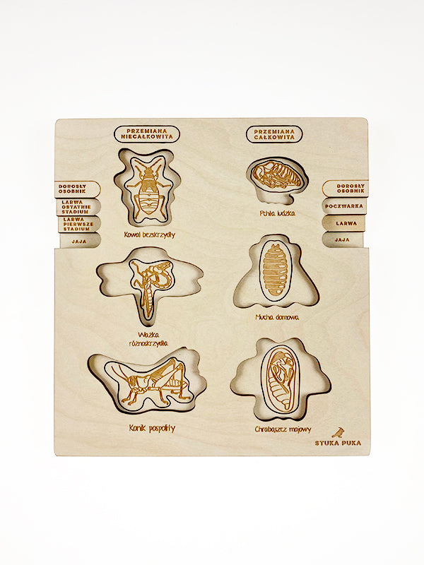 Stuka Puka - Fly On The Wall Wooden Puzzle - Stuka Puka - littleyoyo.ca