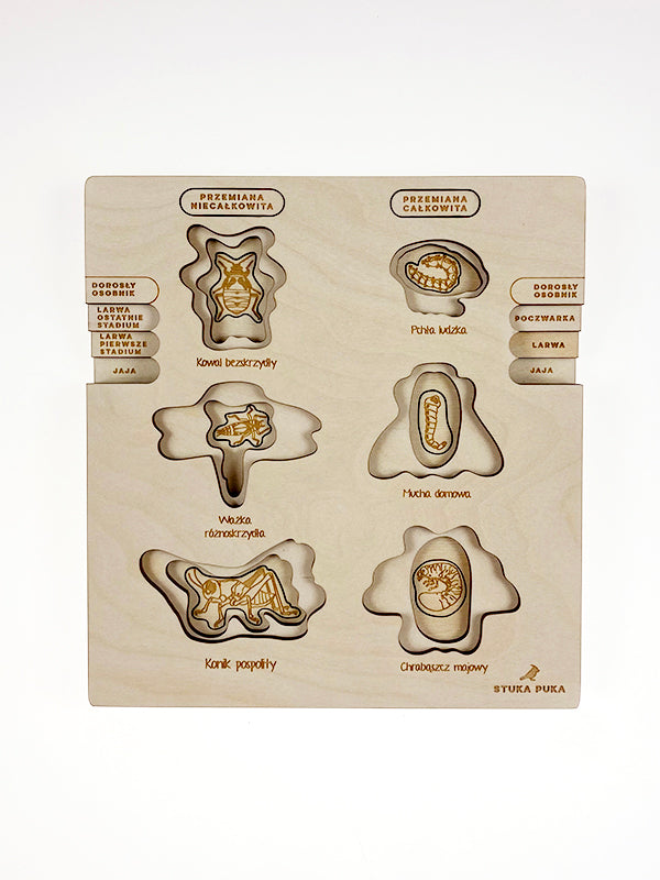 Stuka Puka - Fly On The Wall Wooden Puzzle - Stuka Puka - littleyoyo.ca