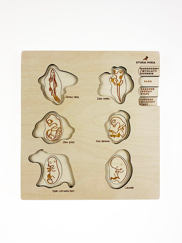 Stuka Puka - We Are Family Wooden Puzzle - Stuka Puka - littleyoyo.ca