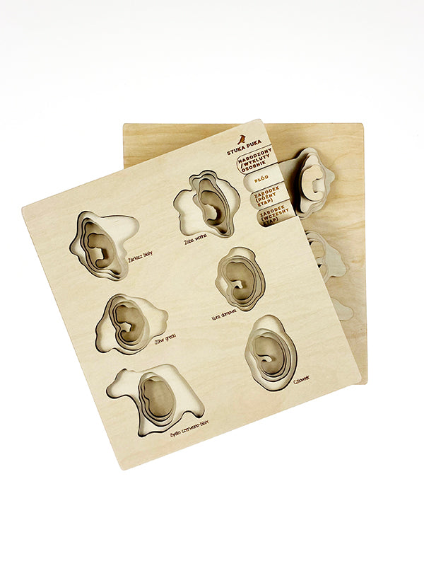 Stuka Puka - We Are Family Wooden Puzzle - Stuka Puka - littleyoyo.ca