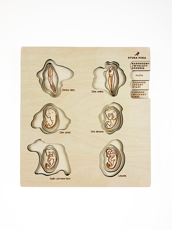 Stuka Puka - We Are Family Wooden Puzzle - Stuka Puka - littleyoyo.ca