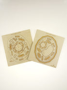 Stuka Puka - From Zero To Hero - Animal Cell Structure Wooden Puzzle - Stuka Puka - littleyoyo.ca