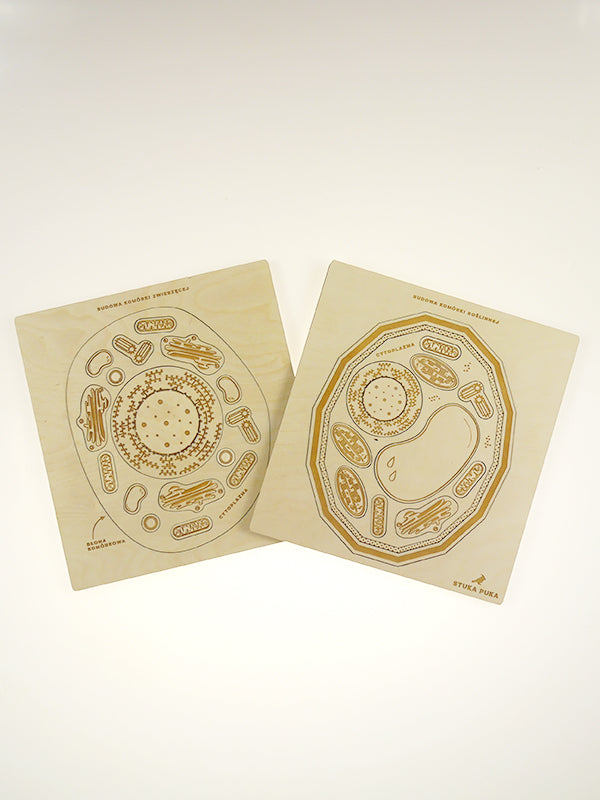 Stuka Puka - From Zero To Hero - Animal Cell Structure Wooden Puzzle - Stuka Puka - littleyoyo.ca