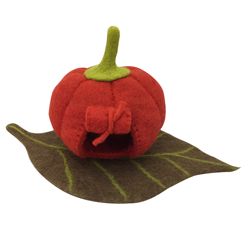 Papoose - Fairy Pumpkin House