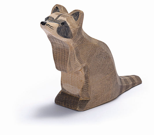 Ostheimer - Raccoon Sitting