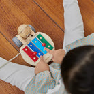 Plantoys - Pull Along Musical Bear - PlanToys - littleyoyo.ca